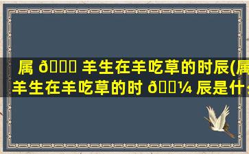 属 🐕 羊生在羊吃草的时辰(属羊生在羊吃草的时 🐼 辰是什么)